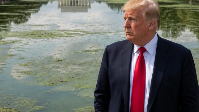Reflecting Pool Dilemma: Trump Responds to Maintenance Concerns