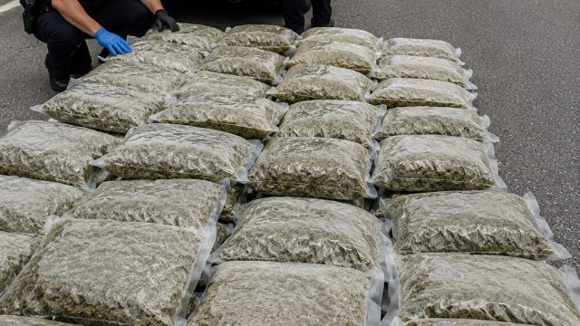 Major Drug Bust on I-40: Arkansas Police Seize 190 Pounds of Marijuana